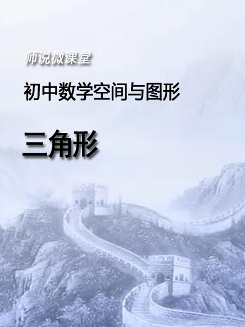 初中数学空间与图形—三角形