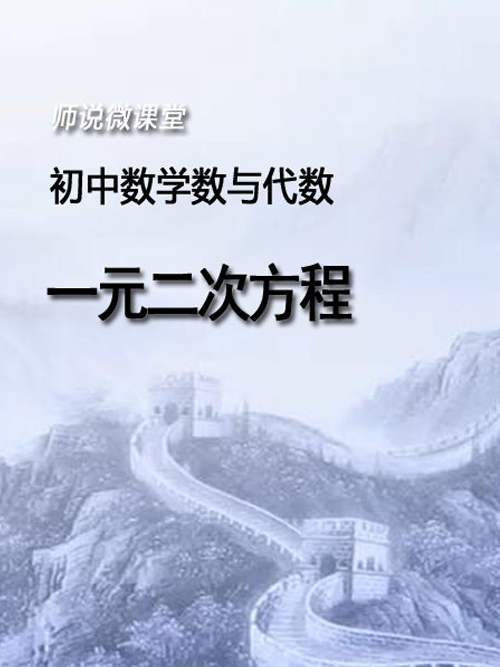 初中数学数与代数—一元二次方程
