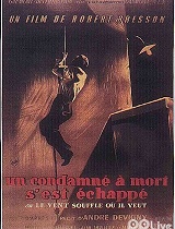 越狱第一季 - PPTV